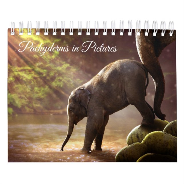 Calendário Fotografias bonitas do elefante (Capa)