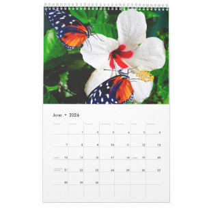 Calendário Fotografias diferentes de borboletas com flores