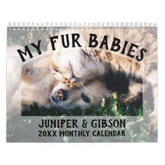 Calendário Fotográfico 2024: Peles Bebês, Animais 