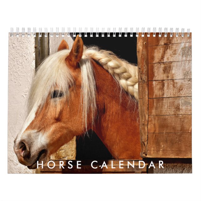 Calendário Fotográfico de Cavalo 2026 Belo Calendá (Capa)