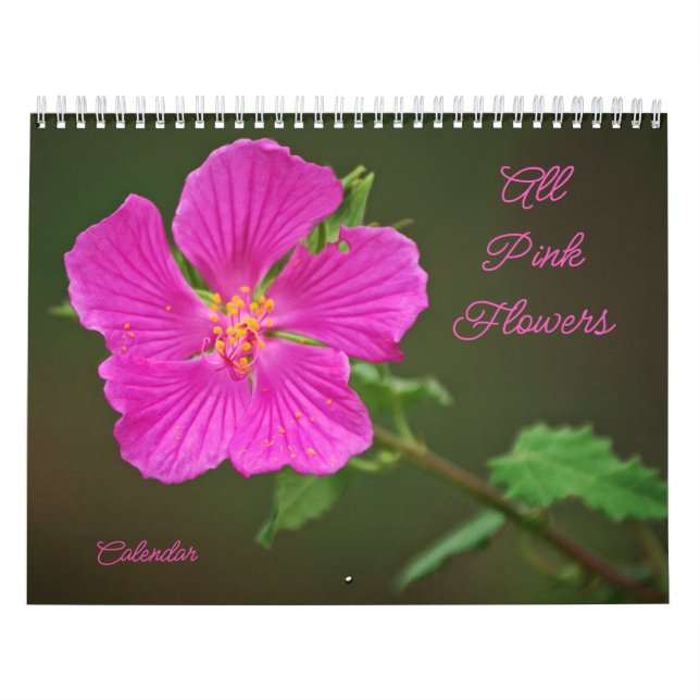 Calendário Fotográfico de Todas as Flores Rosa (Capa)