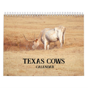 Calendário Fotográfico de Vacas do Texas