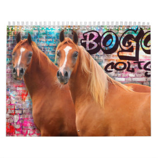 Calendário Fotos da criança de 2 anos de BOGO Colts