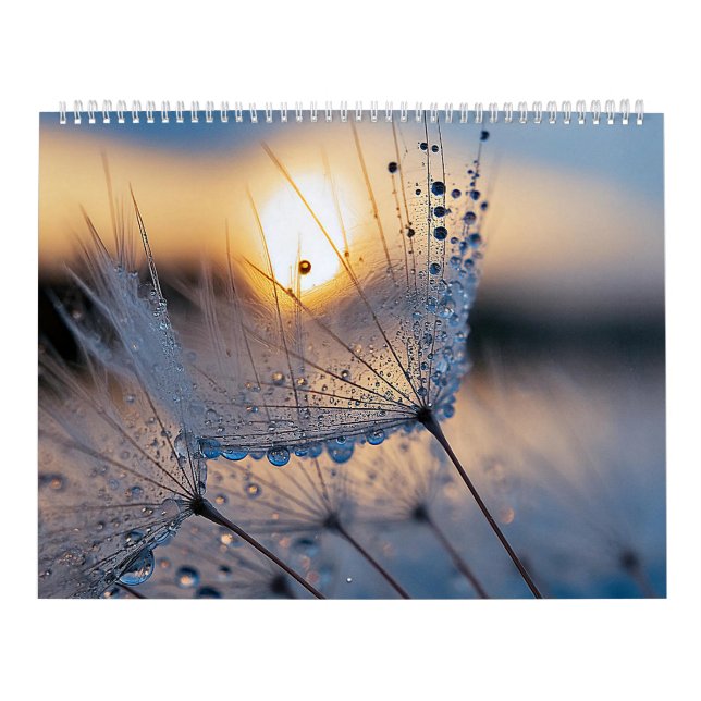 Calendário Fotos da macro natureza (Capa)