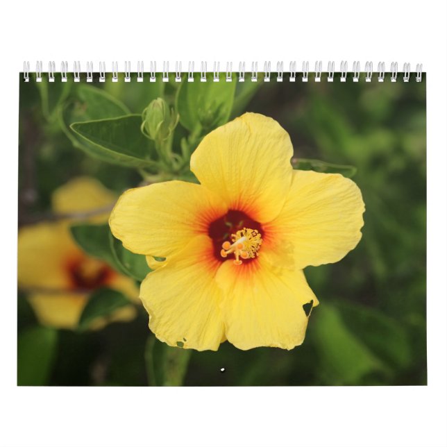 Calendário Fotos da natureza de Kaui (Capa)