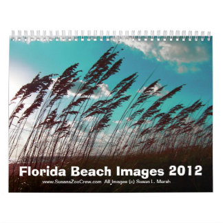 Calendário Fotos das imagens da praia de Florida