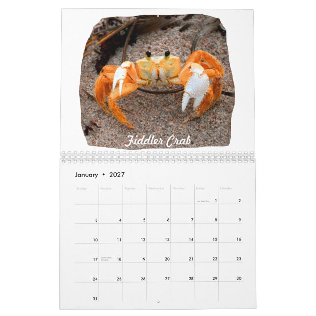 Calendário Fotos das imagens da praia de Florida (Jan 2027)