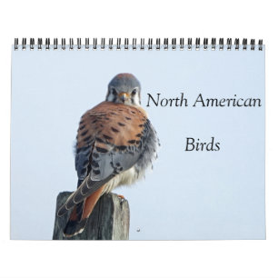 Calendário - Fotos de Aves da América do Norte