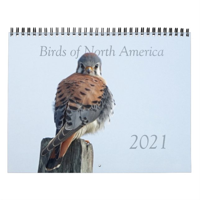 Calendário - Fotos de Aves Norte-Americanas (Capa)