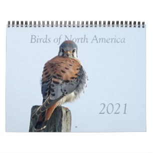 Calendário - Fotos de Aves Norte-Americanas