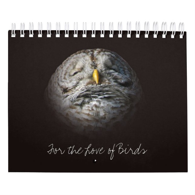 Calendário Fotos de Bird e Owl Fine Art Ontario (Capa)