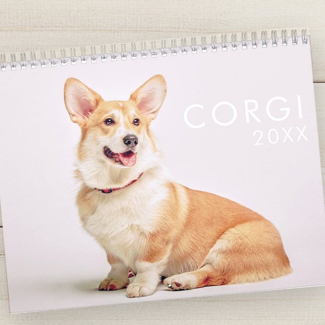 Calendário Fotos de Cães Corgi Engraçados Modernos (Criador carregado)
