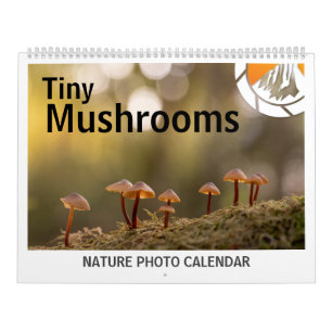 Calendário Fotos de Cogumelos na Natureza 2027