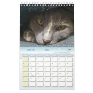 Calendário fotos de gato cinza bonitinho 2025