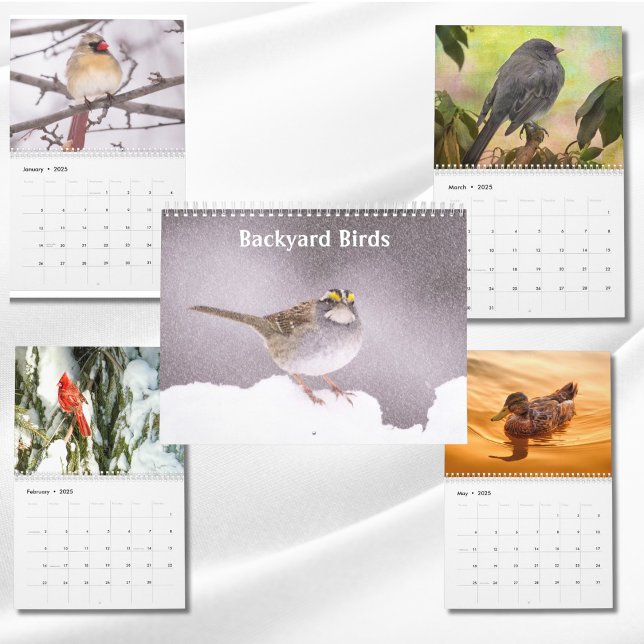 Calendário Fotos e arte de aves de quintal (Criador carregado)