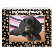 Fotos Engraçadas Dachshund Texto Personalizado