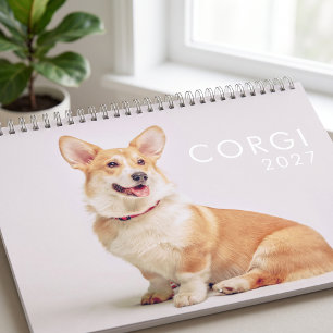 Calendário Fotos Modernas de Cães Corgi Fofos e Engraçados