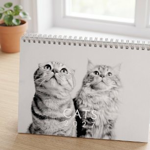 Calendário Fotos Modernas de Gato Pet Fofinho Divertido