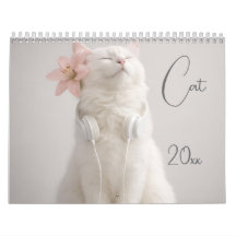 Fotos modernas de gatos fofos e engraçados