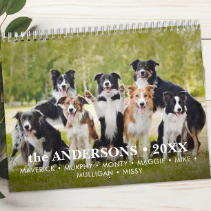 Calendário Fotos Personalizadas de Cão Pet Fotos Modernas 12