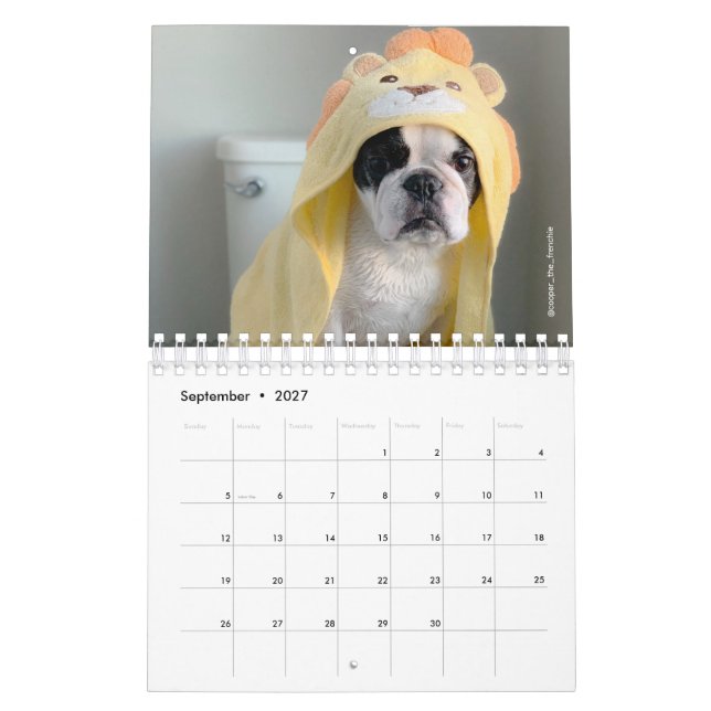 Calendário francês do Bulldog 2020 - Cooper, o fra (Set 2027)