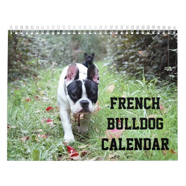 Calendário Francês Do Bulldog Com Suas Fotos (Capa)