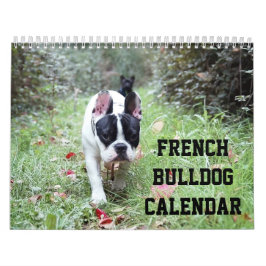 Calendário Francês Do Bulldog Com Suas Fotos