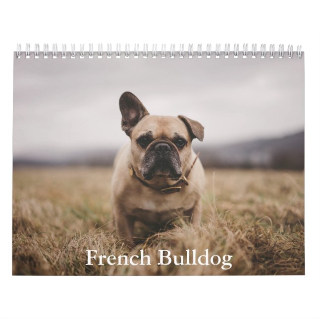 Calendário Francês para Bulldog (Capa)