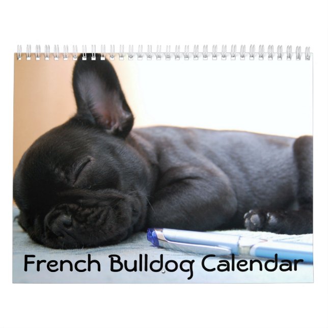 Calendário Francês para Bulldog 2016 Personalizado (Capa)