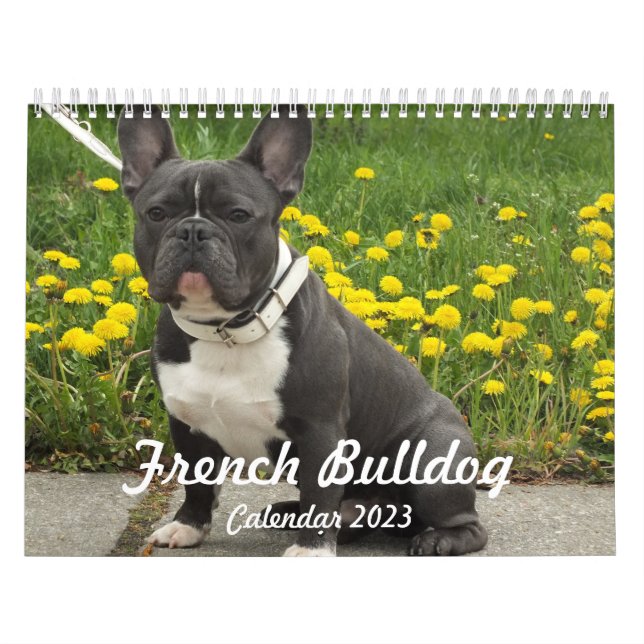 Calendário Francês para Bulldog 2023 Adicione Suas (Capa)