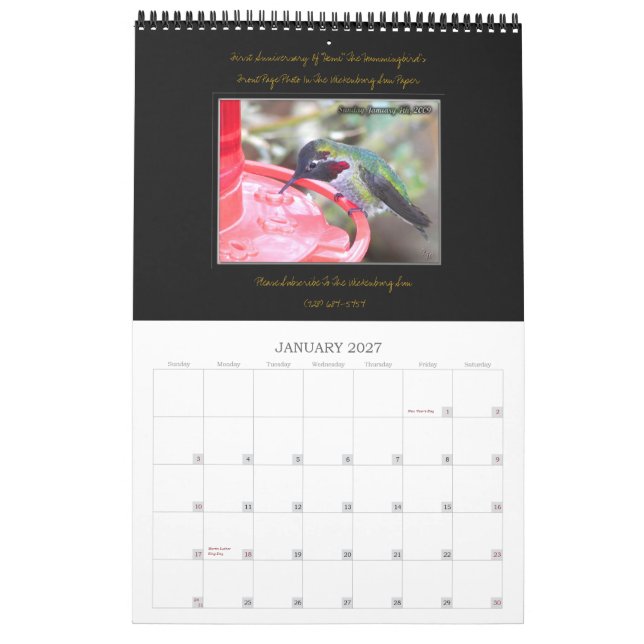 Calendário Frazzled por Zazzle. Order~ ~Special (Jan 2027)
