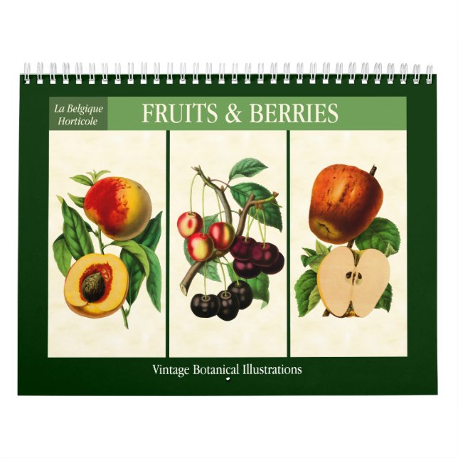 Calendário Fruta e Berries Vintage Botânica 2026 (Capa)