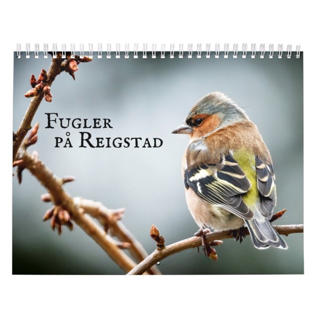 Calendário Fulger på Reigstad - Kalender 2021 (Capa)