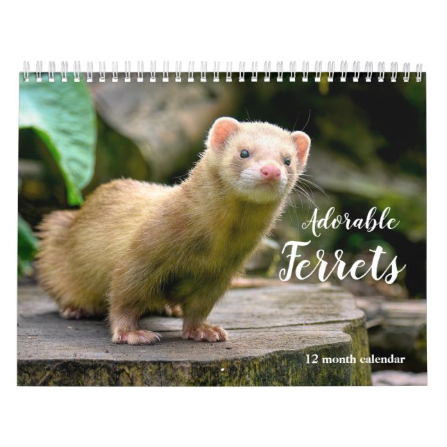 Calendário Furões Adoráveis 2026 (Capa)