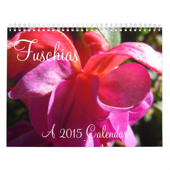 Calendário Fuschias 2015 II (Capa)