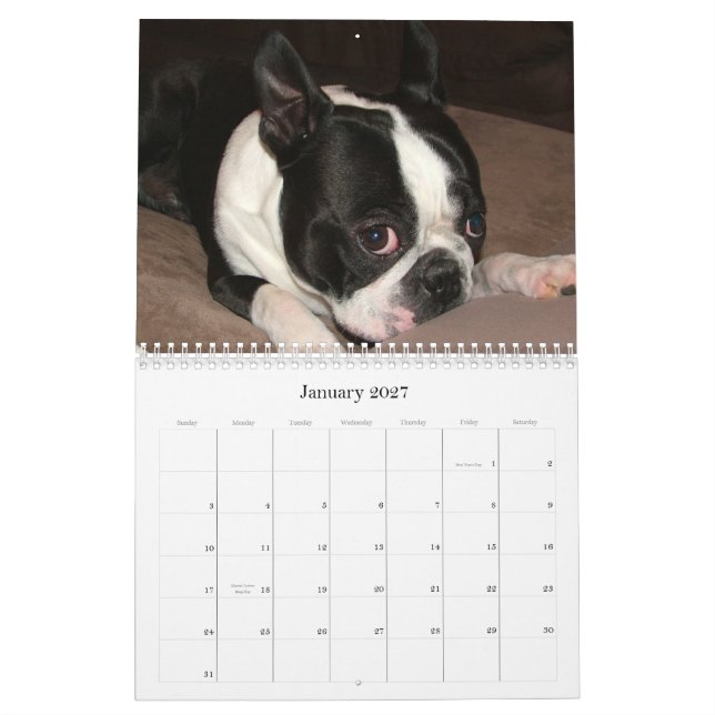 Calendário Gaiteiro & Pinocchio 2009 (Jan 2027)