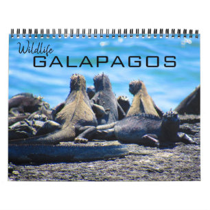 Calendário galápagos da vida selvagem 2025