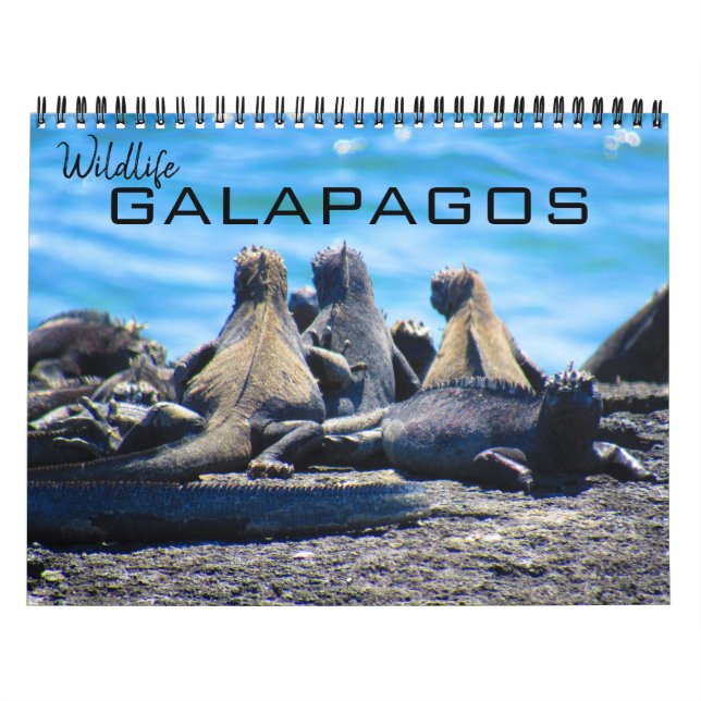 Calendário galápagos da vida selvagem 2025 (Capa)