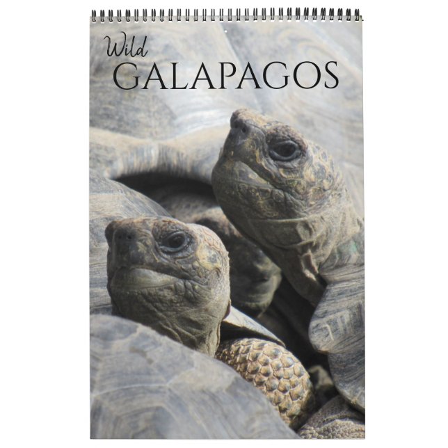 Calendário galapagos selvagem 2026 (Capa)