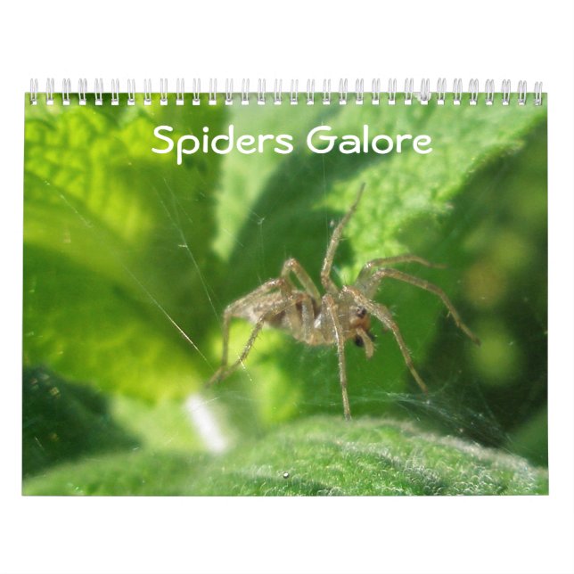 Calendário - Galeria de Aranhas (Capa)