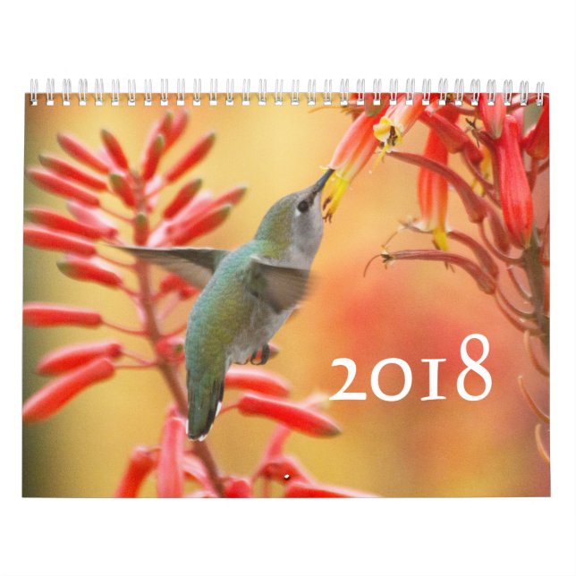 Calendário Galeria de aves (Capa)