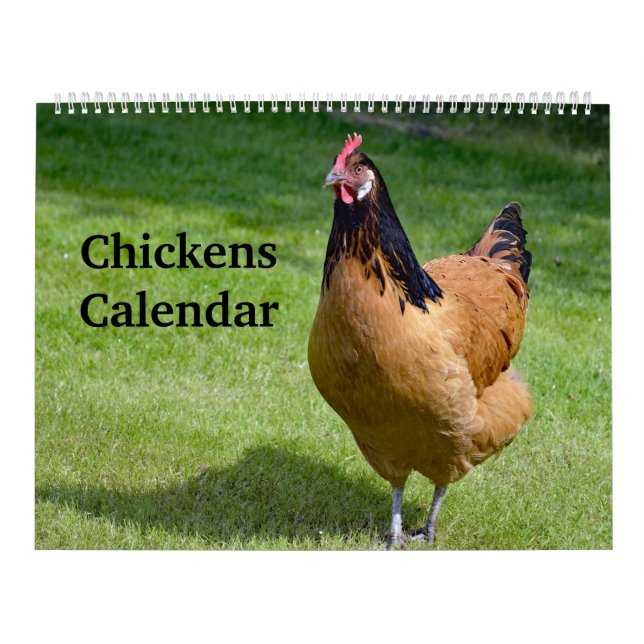 Calendário Galinhas (Capa)