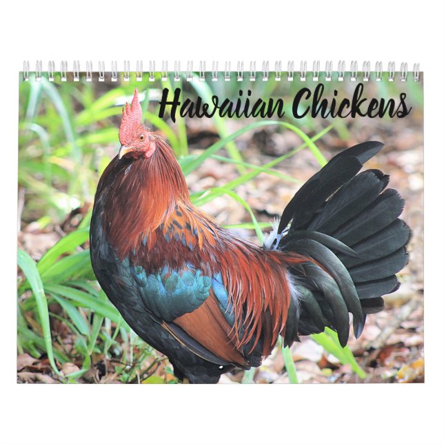 Calendário Galinhas Havaianas (Capa)