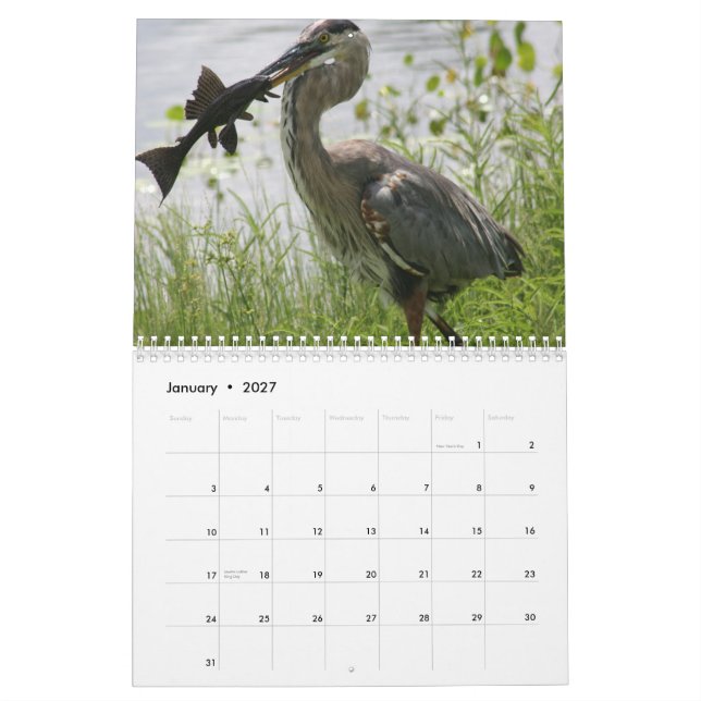 CALENDÁRIO GARÇA-REAL DE GRANDE AZUL DE FLORIDA (Jan 2027)