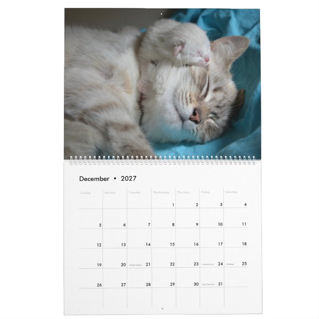 Calendário Gatinho 2020 de Gatos e Gatinhos com Sono (Dez 2027)