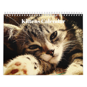 Calendário Gatinhos Bengalos Cute 2022
