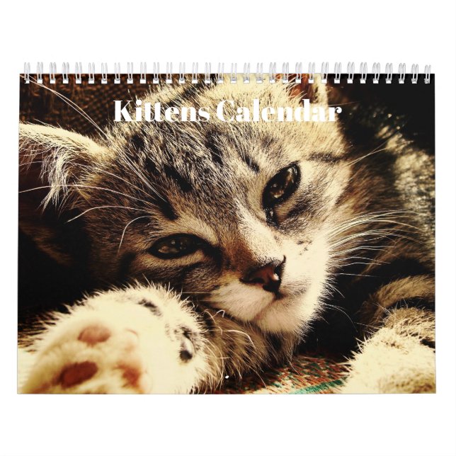 Calendário Gatinhos Bengalos Cute 2023 (Capa)