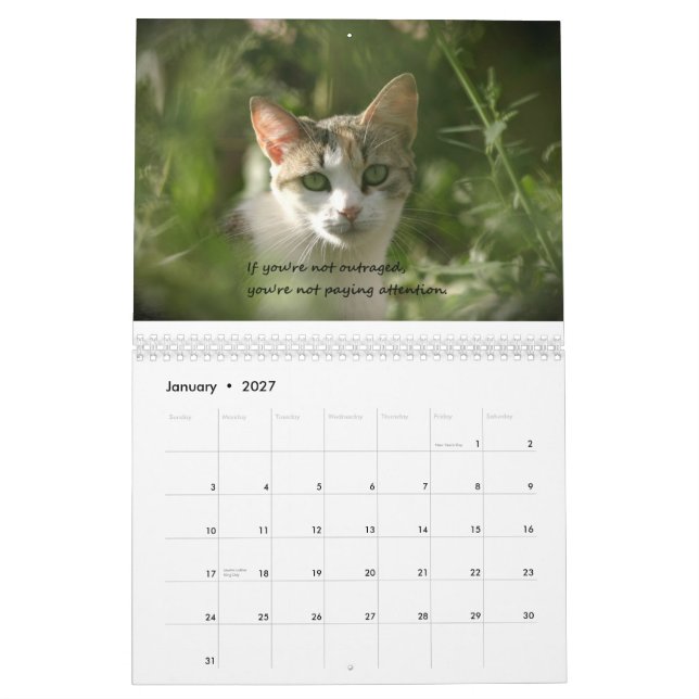 Calendário Gatinhos da consciência (Jan 2027)