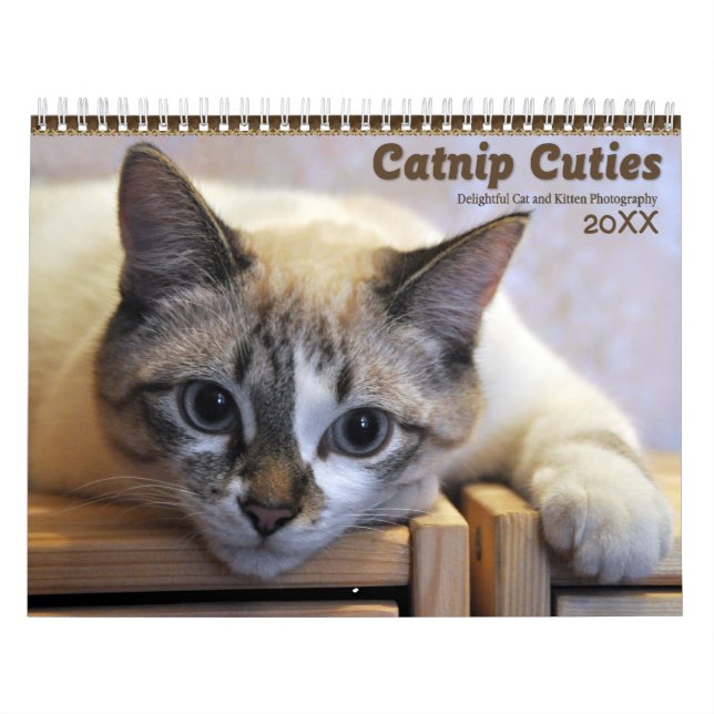 Calendário Gatinhos e Gatinhos das Catnip 2021 (Capa)
