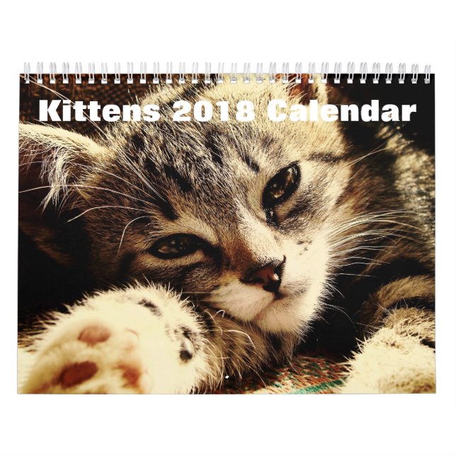 Calendário Gatinhos Frescos 2018 (Capa)